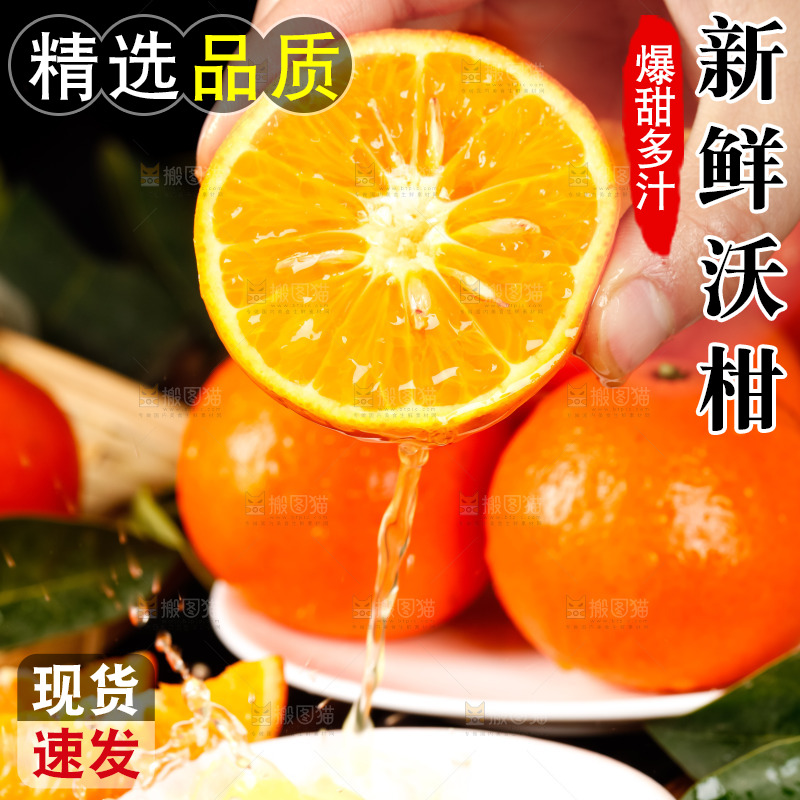 手里拿着新鲜沃柑