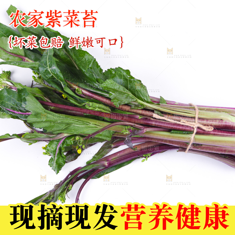 白底上放着紫菜苔
