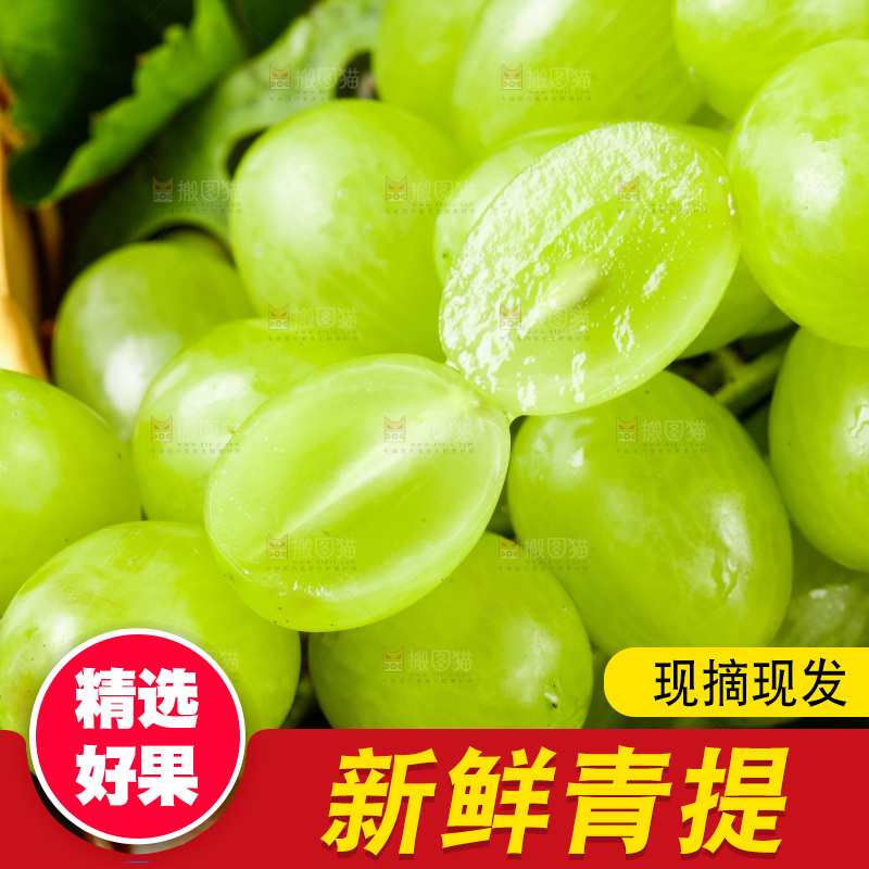 黑底上放着一筐新鲜青提