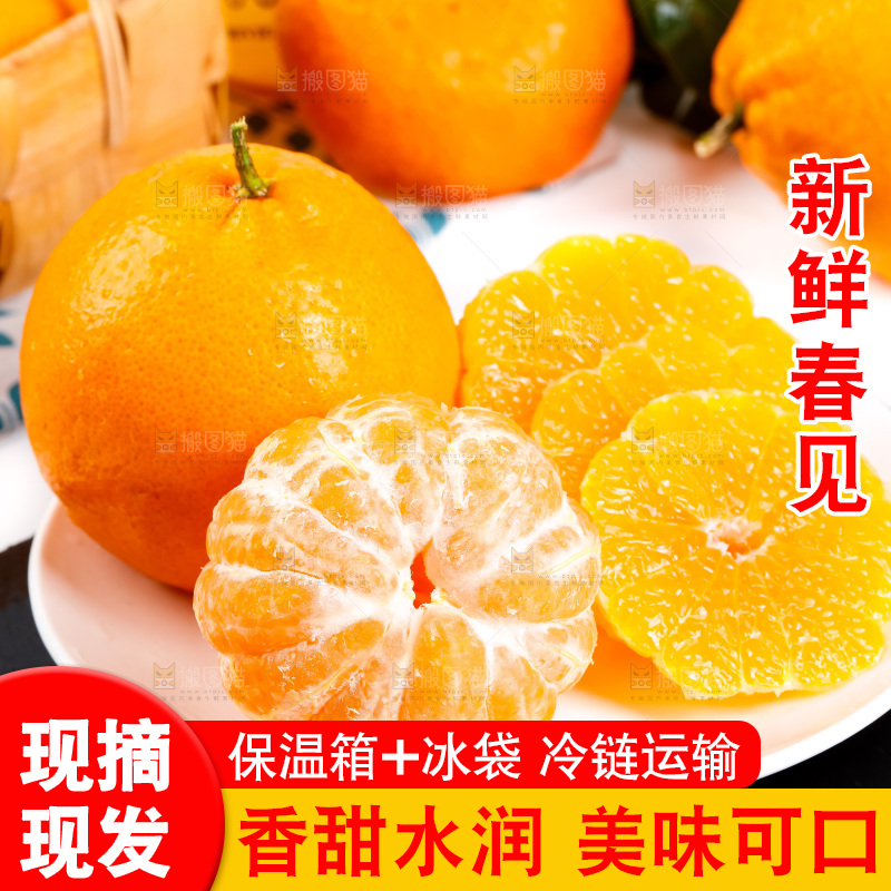 黑石板上的春见耙耙柑