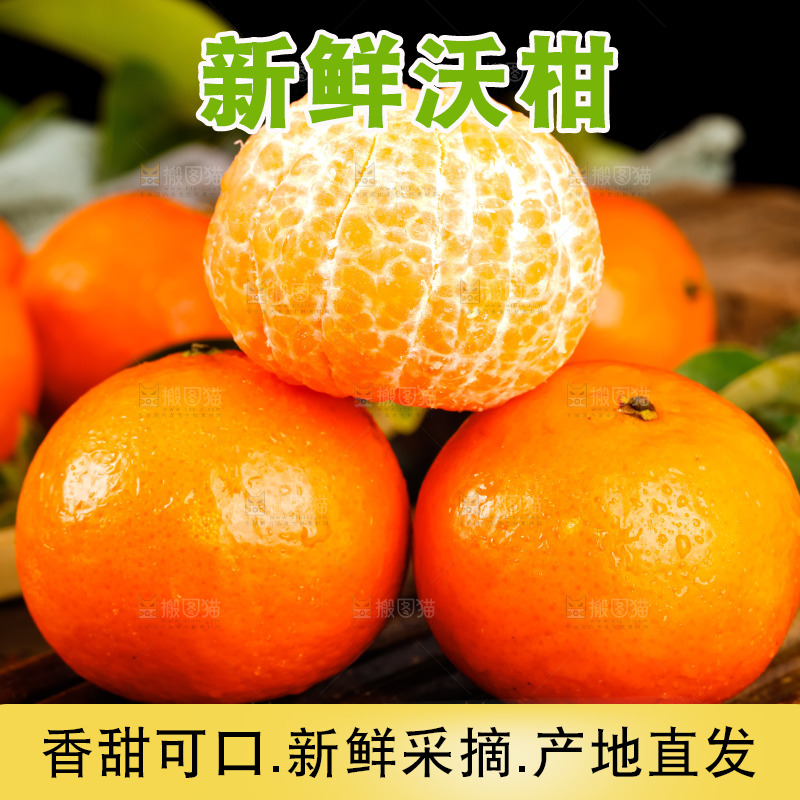 竹底上的四川沃柑