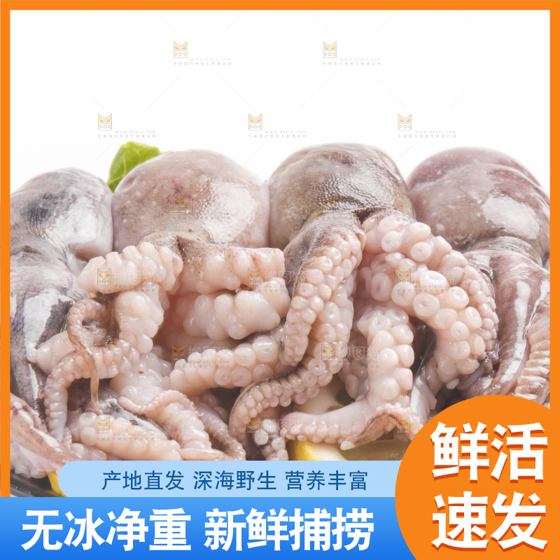 盘子里的大连章鱼