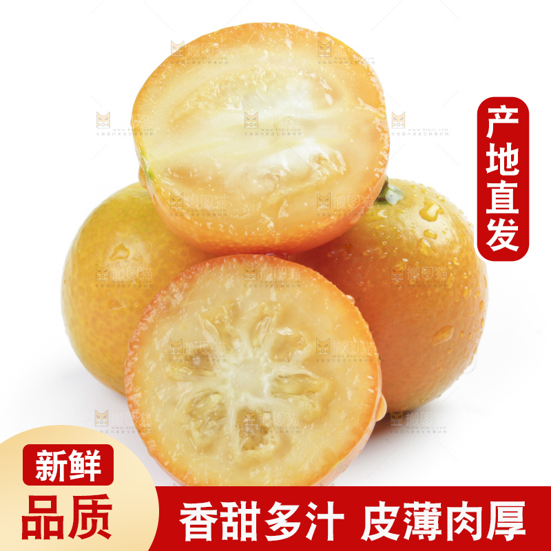 白底上的金钱橘