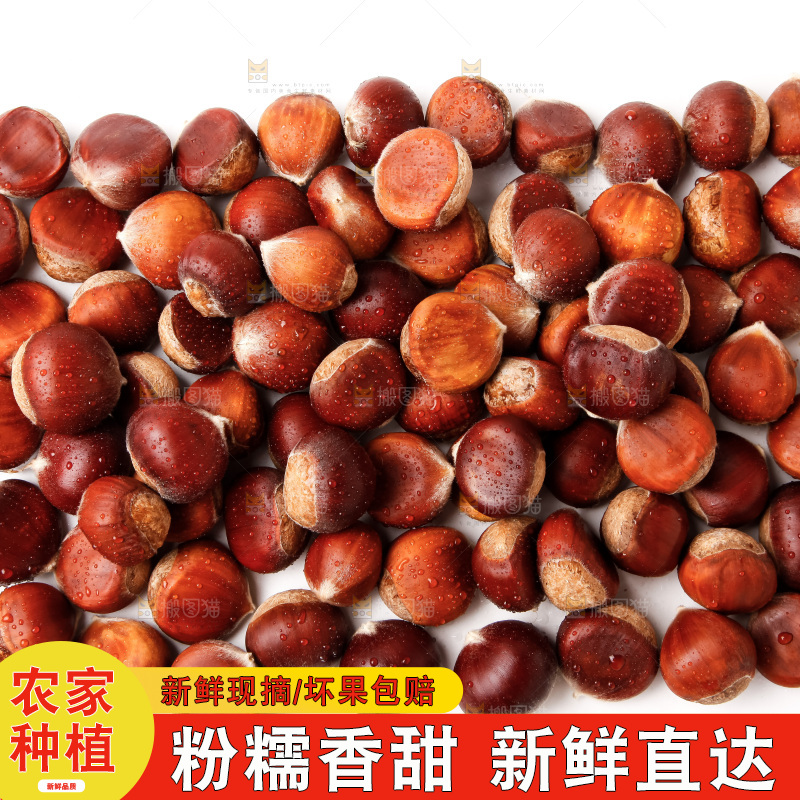白底上的新鲜栗子