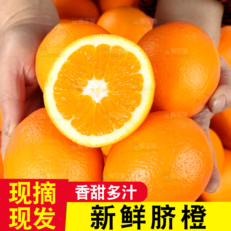 手里拿着长虹脐橙