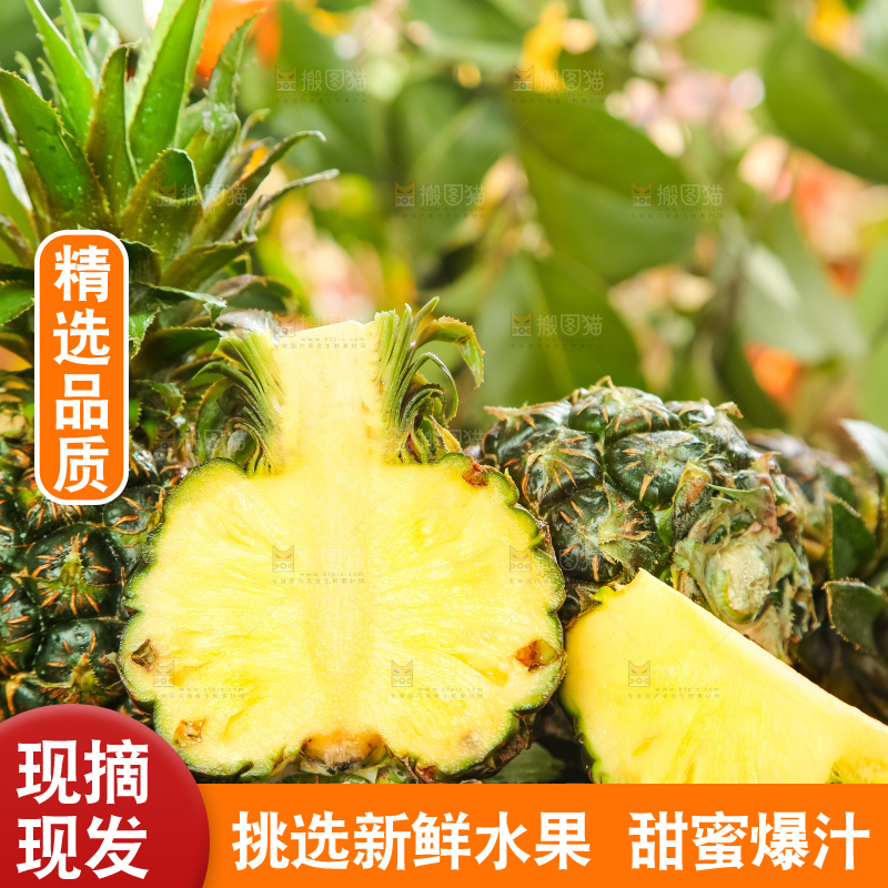 黑石板上的新鲜小菠萝