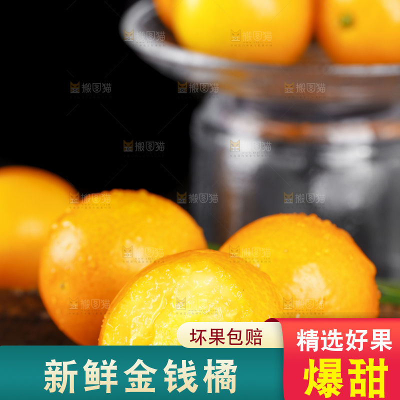 黑底上的小金桔