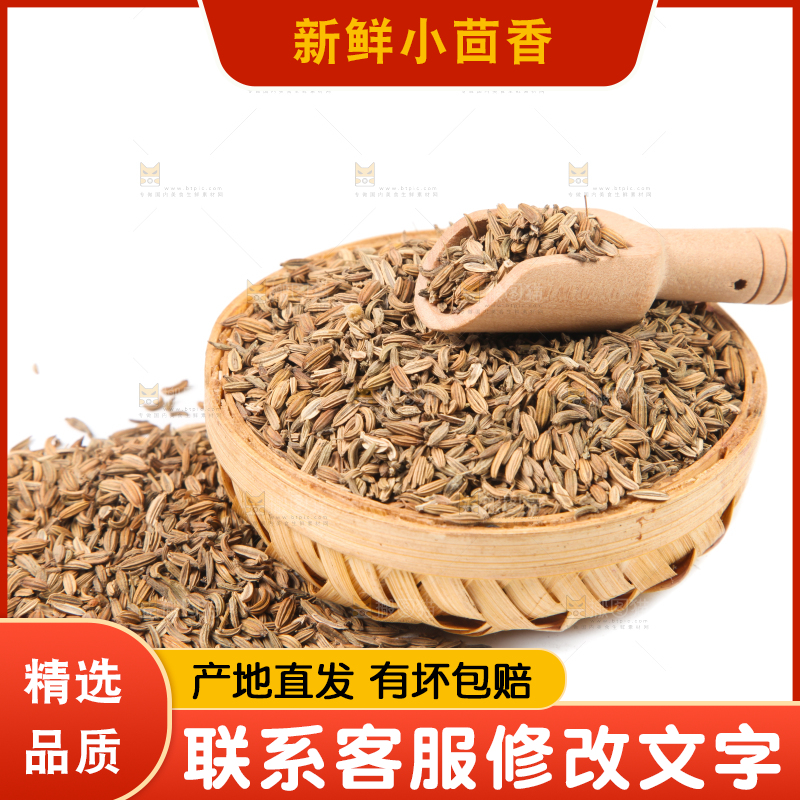 白底上一堆小茴香