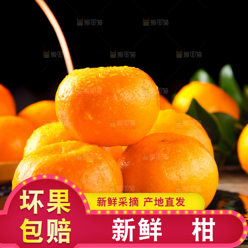 石板上的大理宾川椪柑
