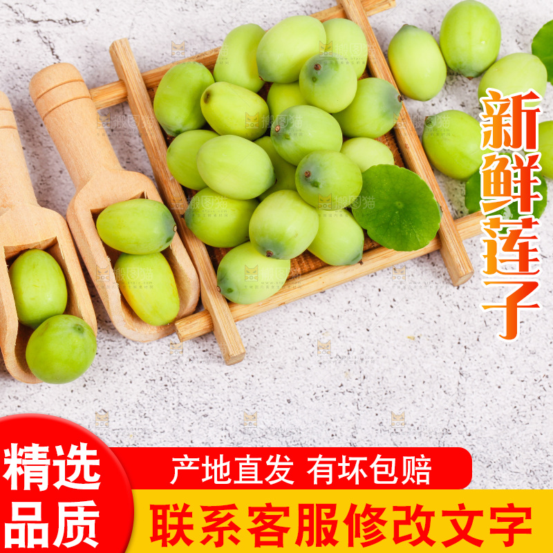 石板上的新鲜莲子