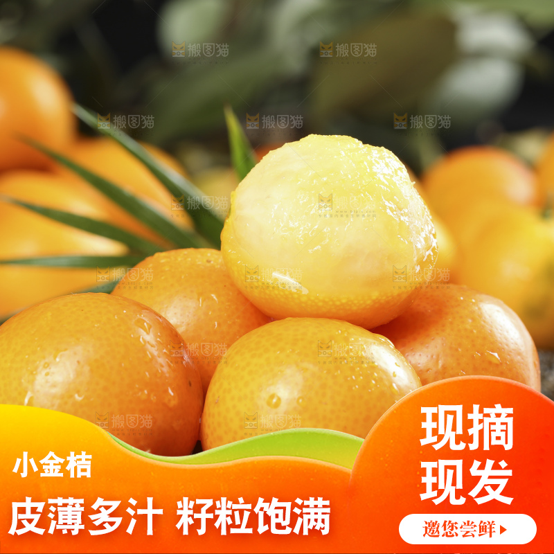 黑石板上的广西金钱橘