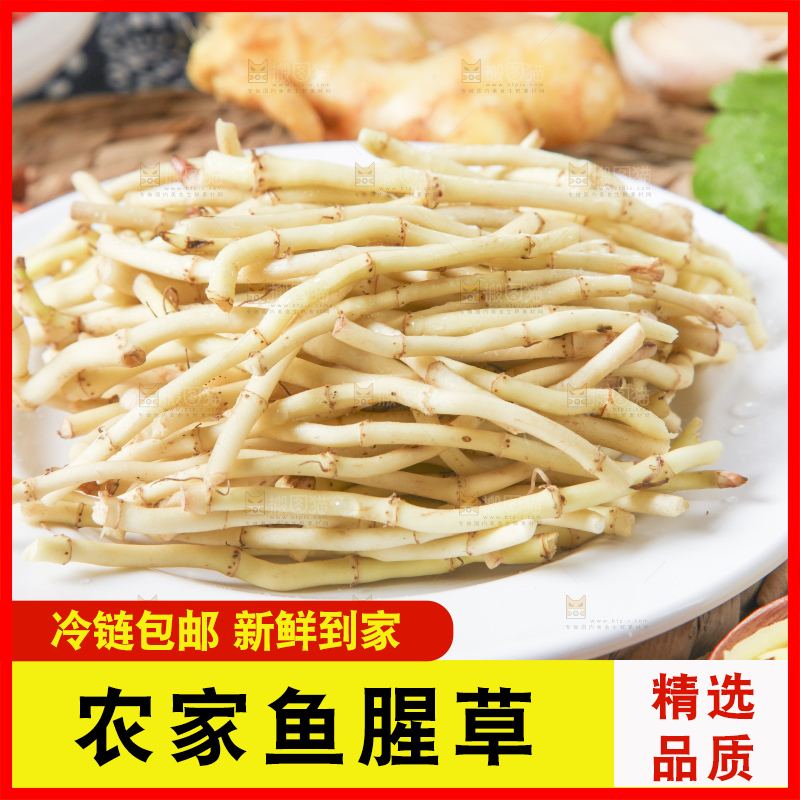 盘子里装着鱼腥草
