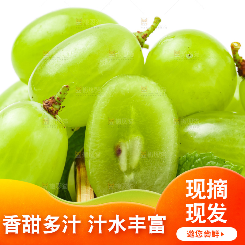 白底上放着一盘青提子