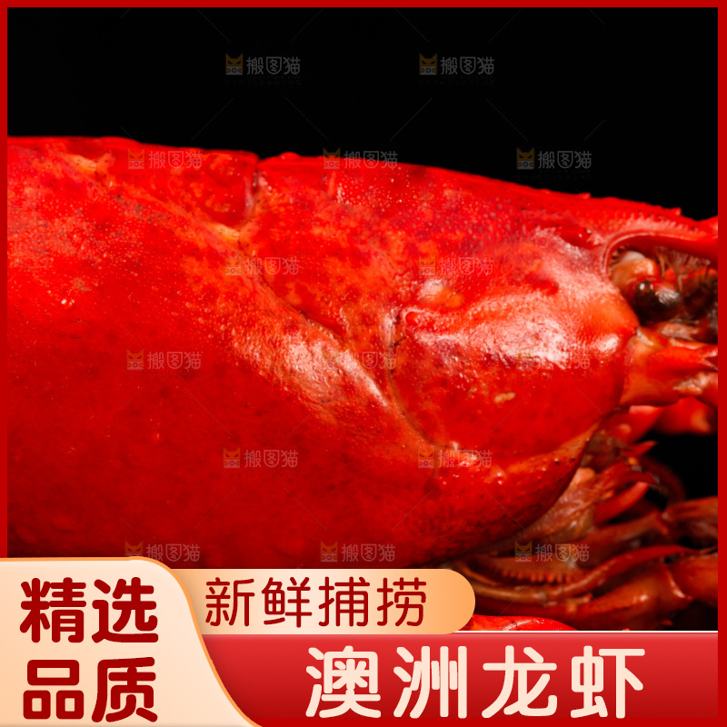 黑底上放着波士顿龙虾