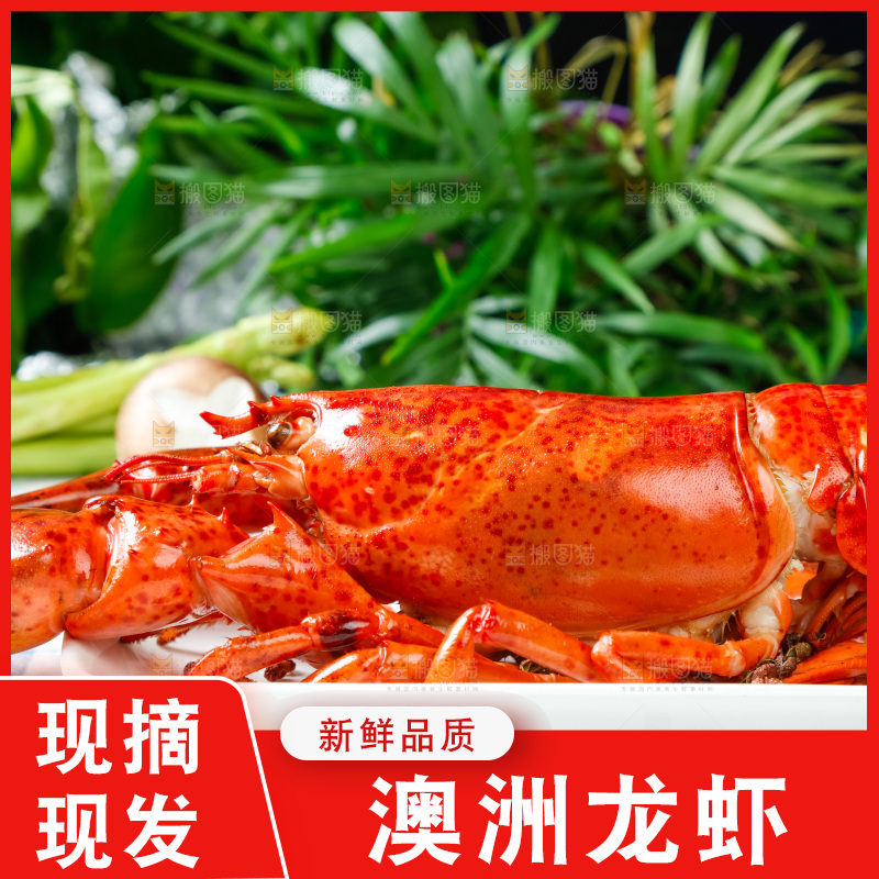 格子布上放着一盘大龙虾