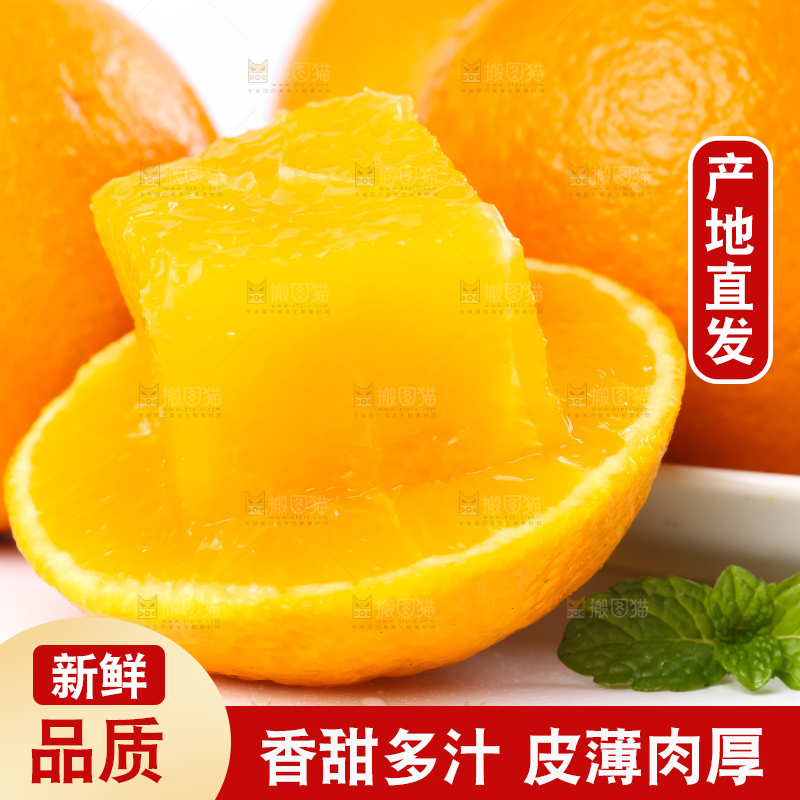 白底上的新鲜橙子