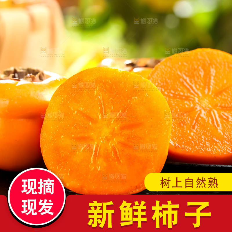 黑石板上放着易县磨盘柿