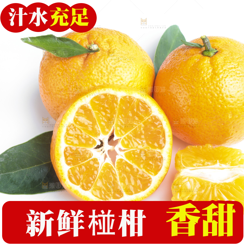 白底上的椪柑橘