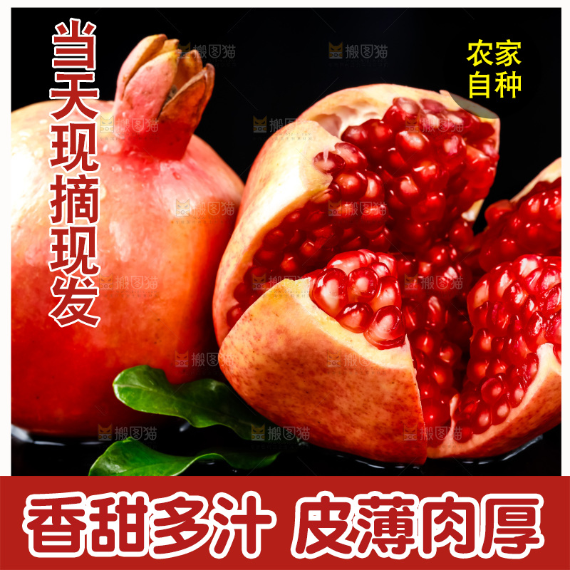 黑底上放着突尼斯软籽石榴