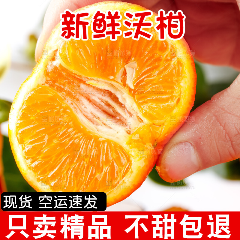 手里拿着新鲜沃柑
