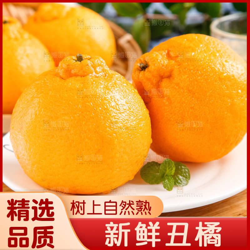 盘子里的新鲜丑橘