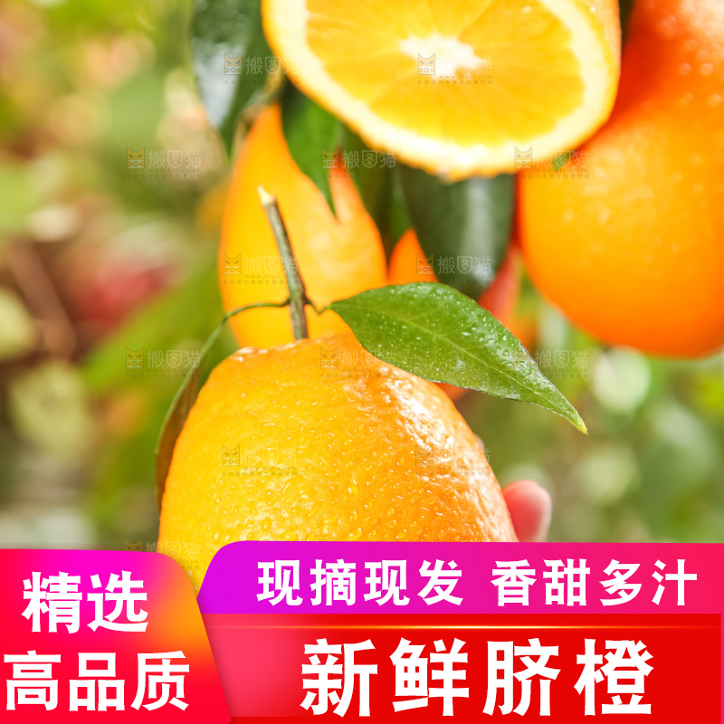 手里拿着新鲜橙子