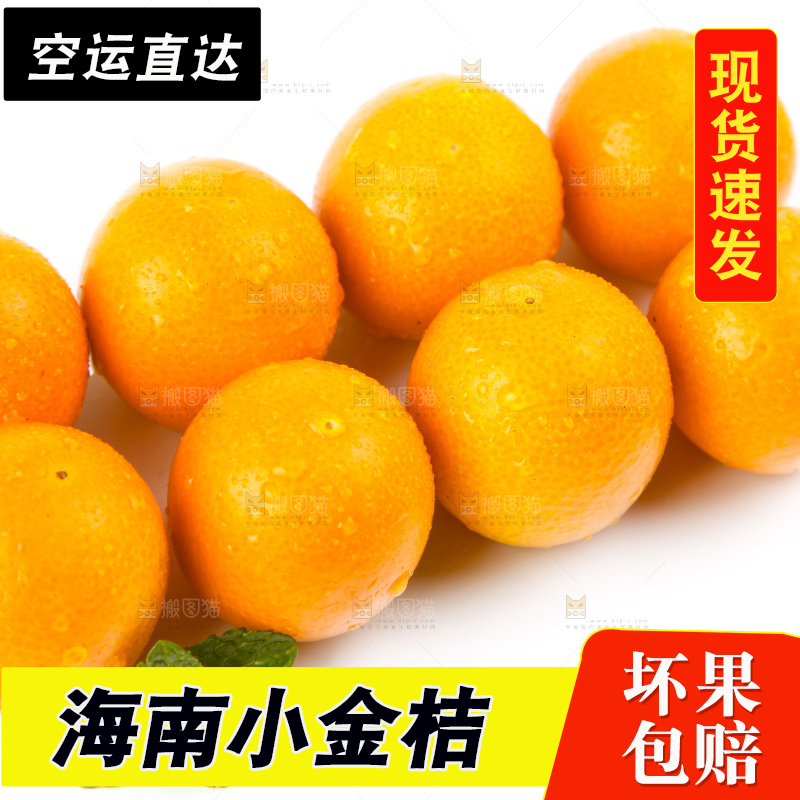 白底上的融安小金桔