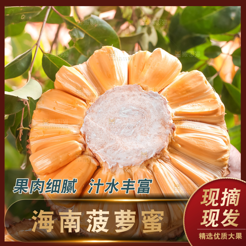 浅底上的越南红心菠萝蜜