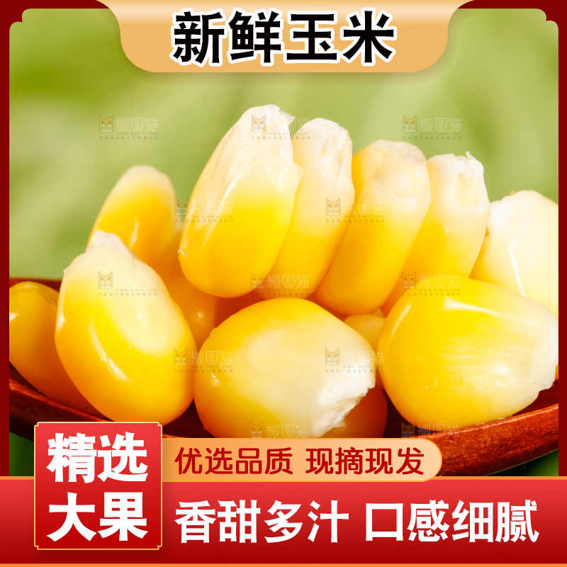 深底上的东北玉米