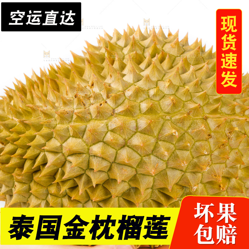 手里拿着泰国金枕榴莲