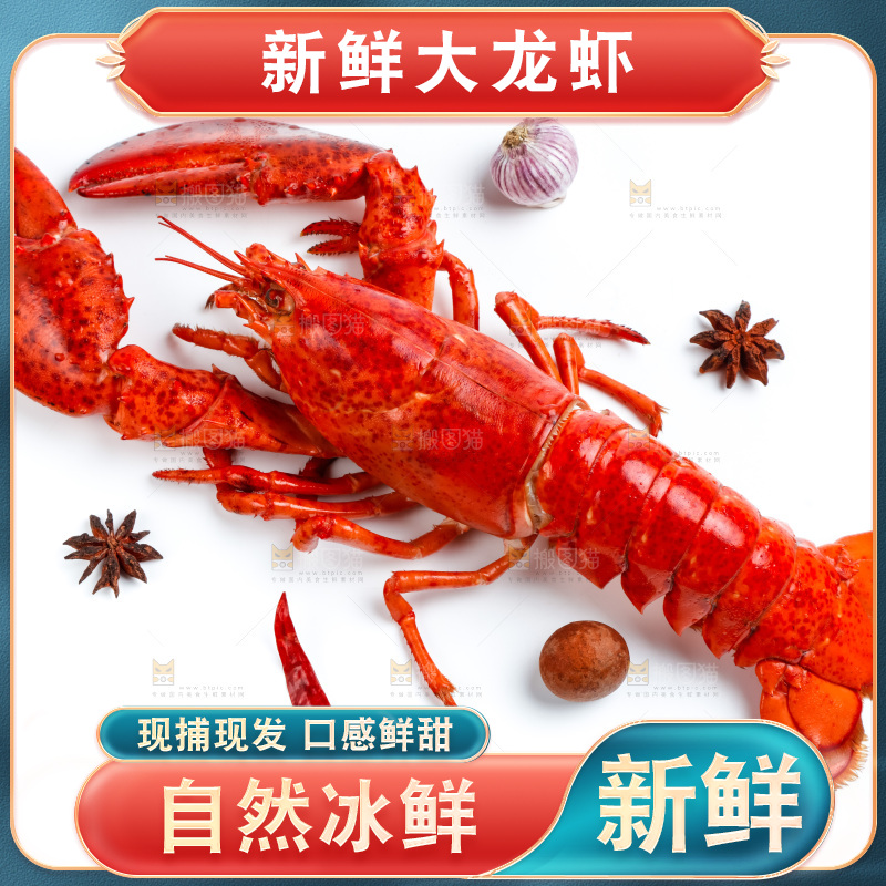 白底上的波士顿大龙虾