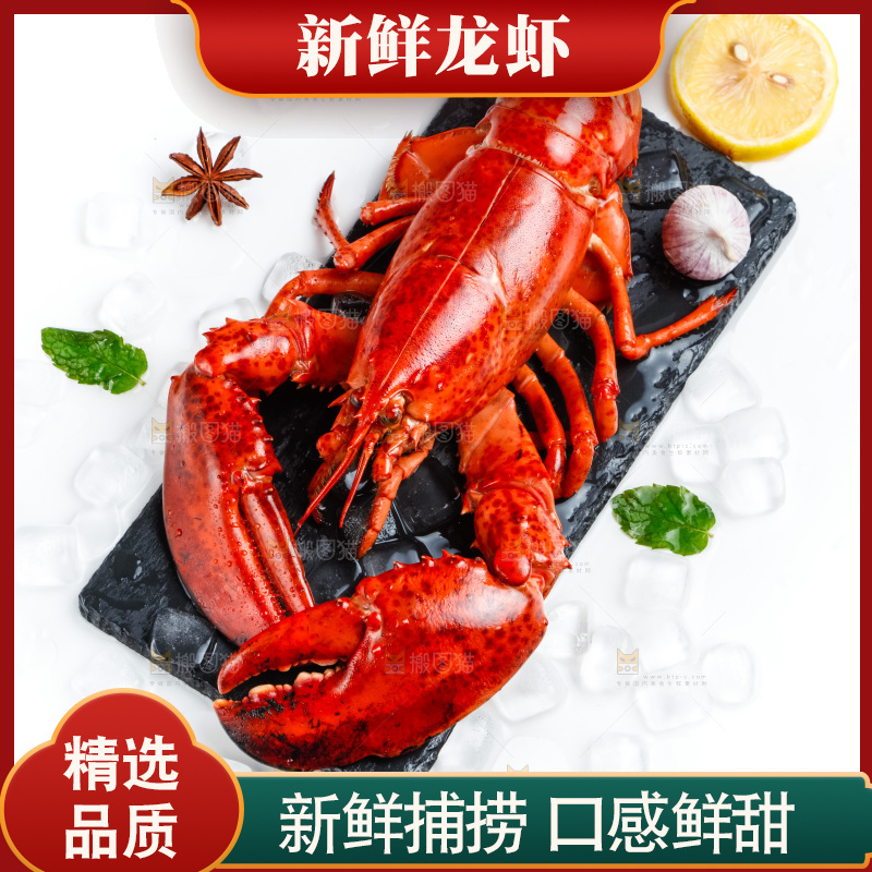 浅底上放着波士顿大龙虾
