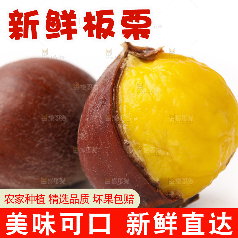 浅底上的迁西板栗