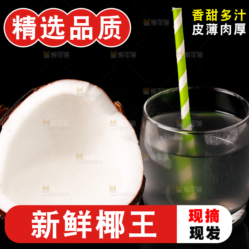 黑底上的椰王
