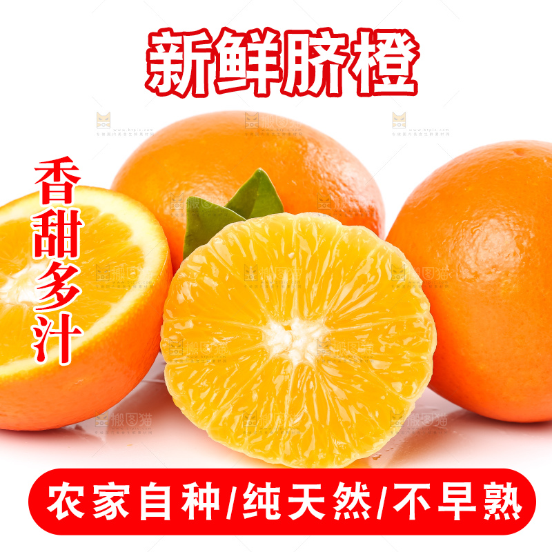 白底上的新鲜橙子