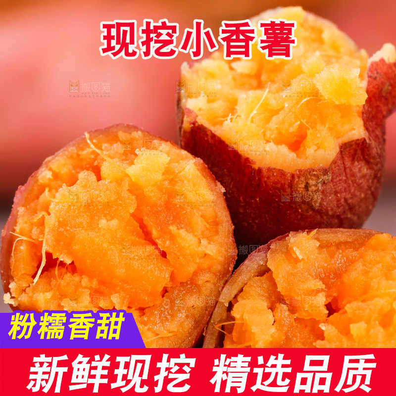深底上的天目山小香薯