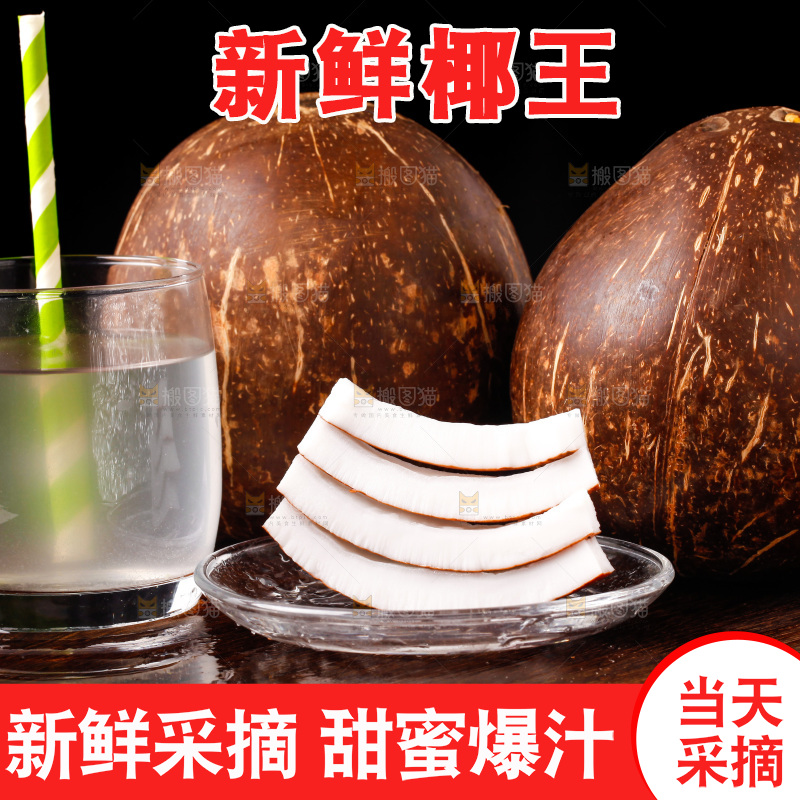 黑底上的椰王