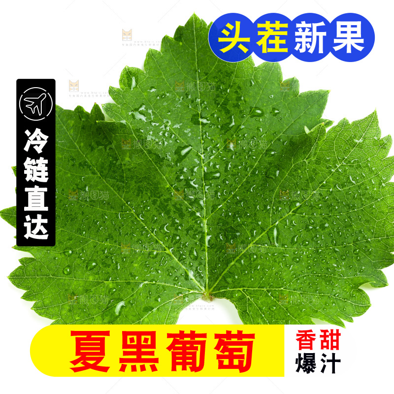 白底上的夏黑