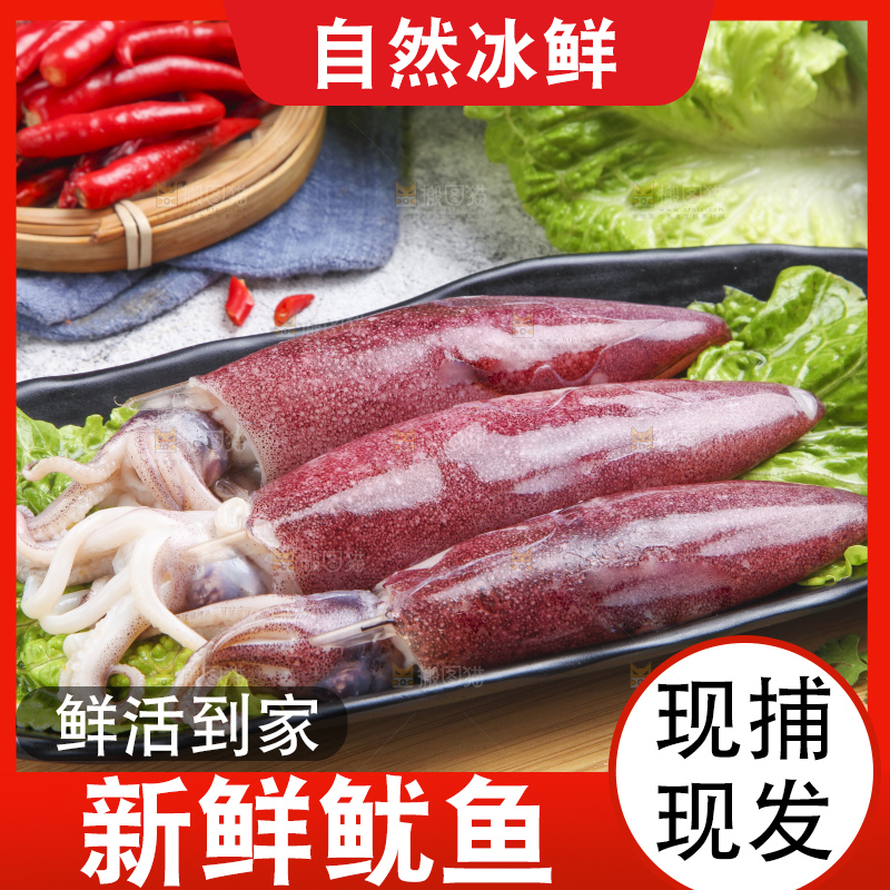 木板上的海兔子
