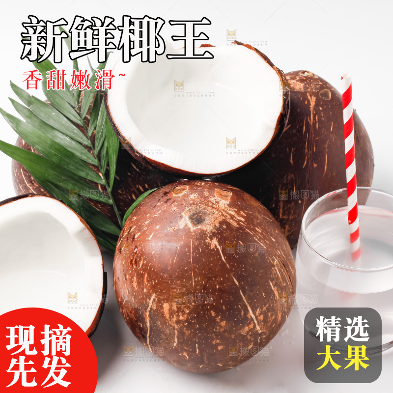 白底上放着椰王