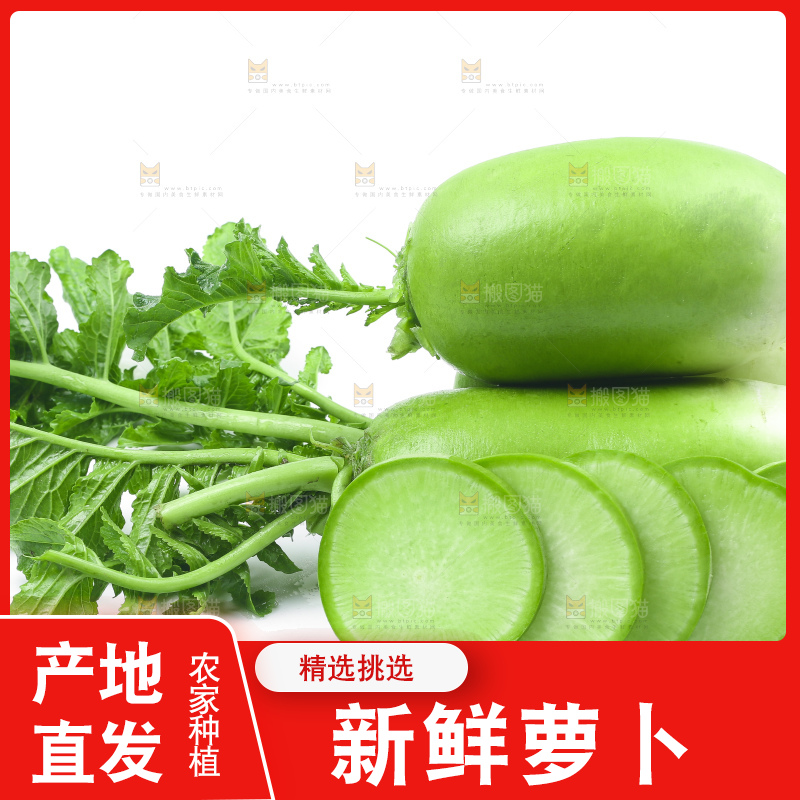白底上放着青萝卜