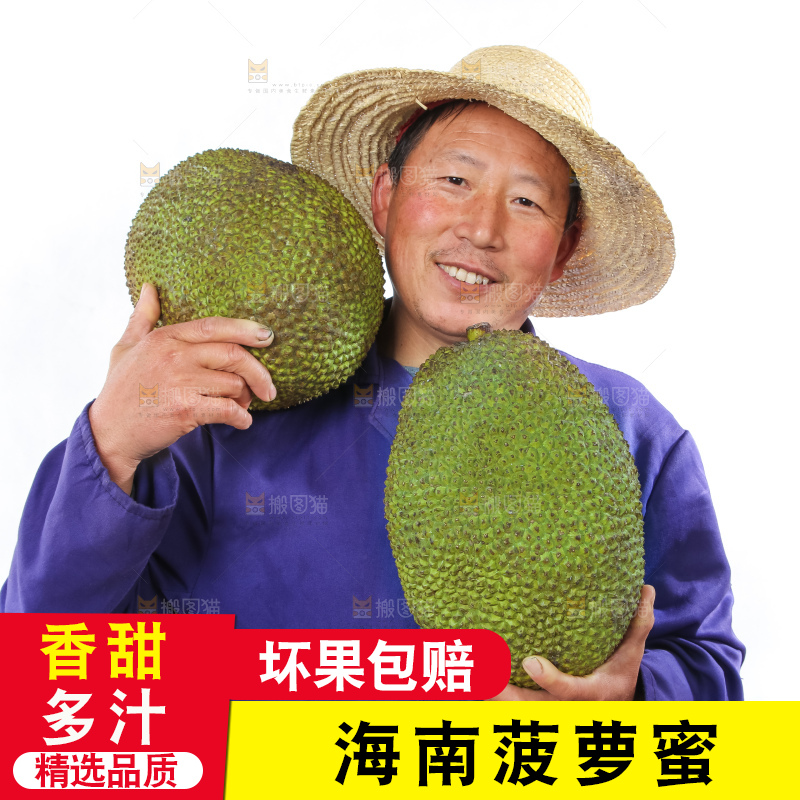 农民手里拿着菠萝蜜