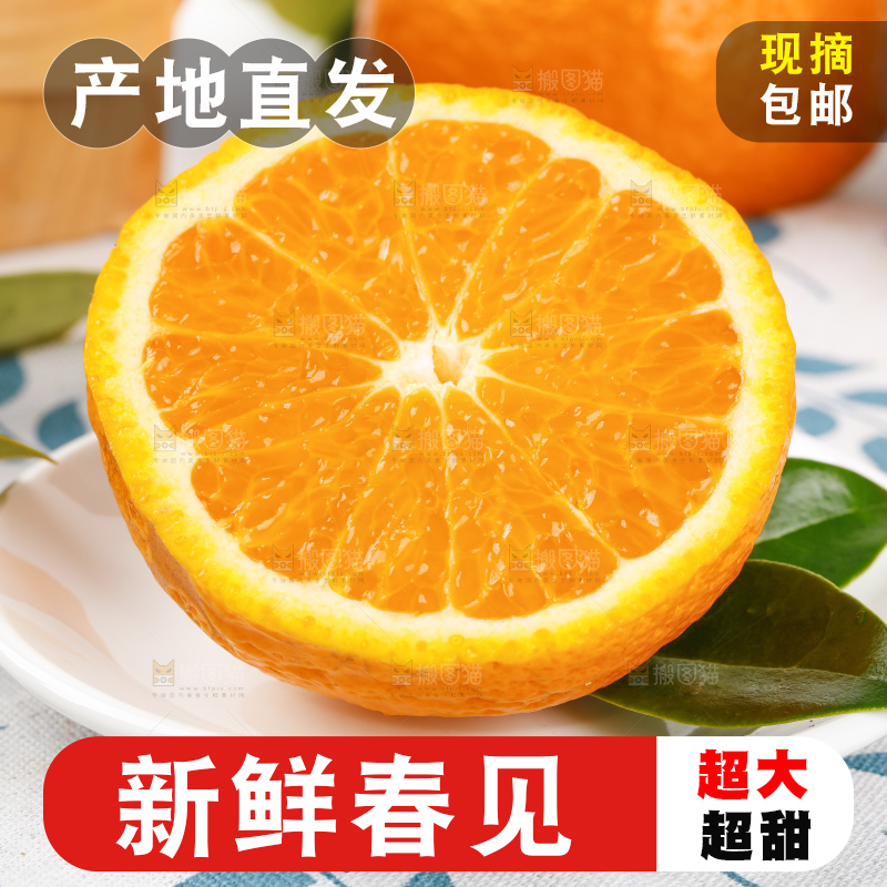 浅底上的春见耙耙柑