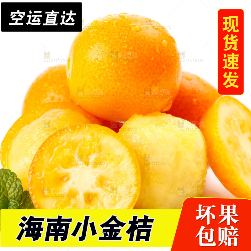 白底上的融安小金桔