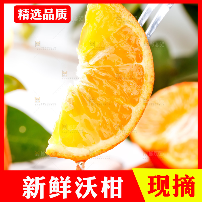 叉子上叉着沃柑果肉