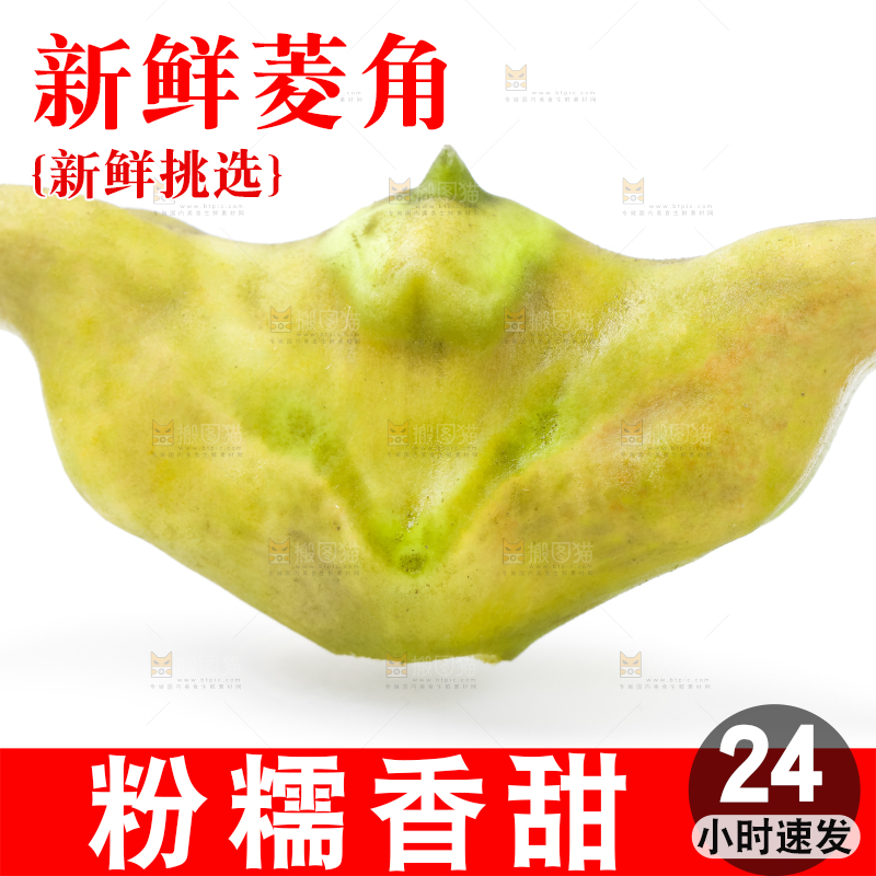 浅底上的新鲜菱角