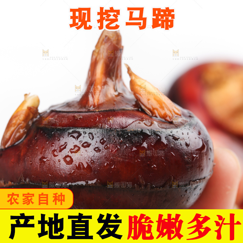 篮子里装着北乡马蹄