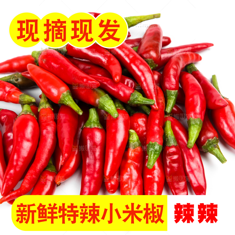 白底上摆放着广西小米椒