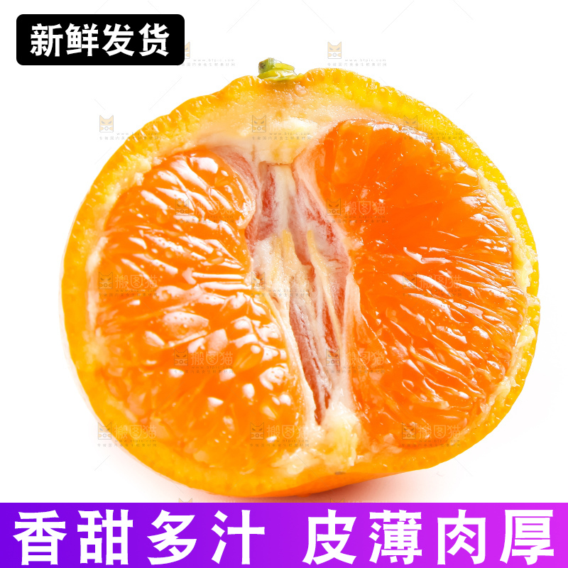 白底上的永春芦柑