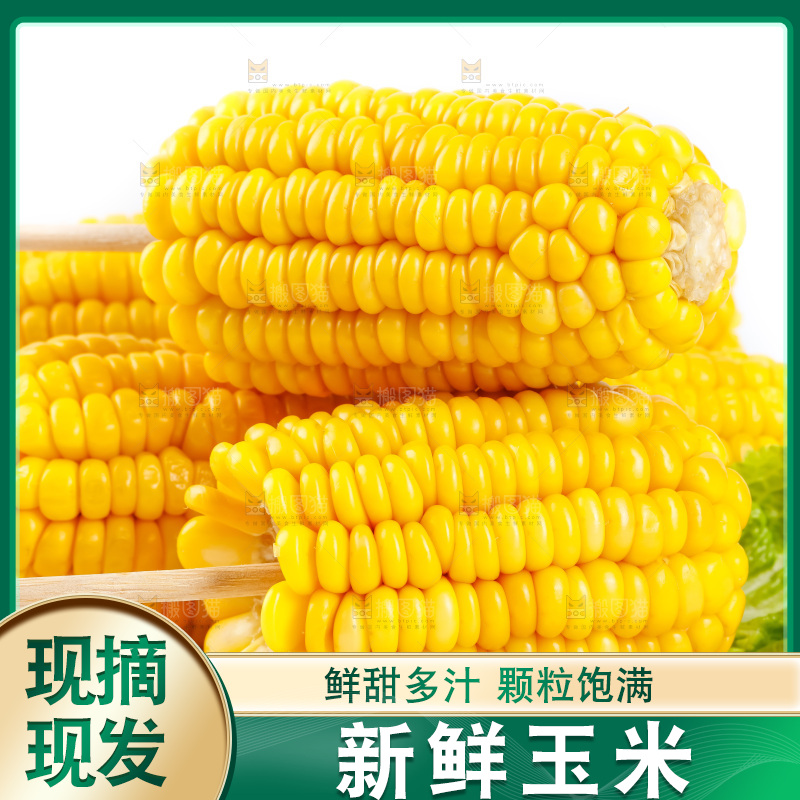 白底上放着黄玉米